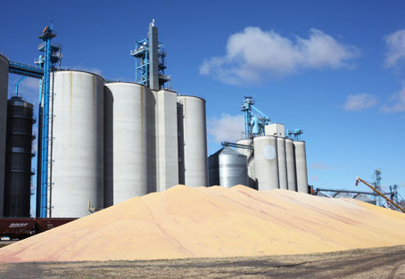 Cereal / Grain processing Industries